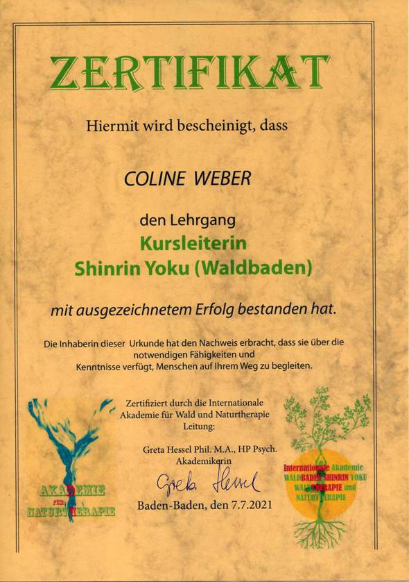 Abschluss Zertifizierte Kursleiterin Waldbaden